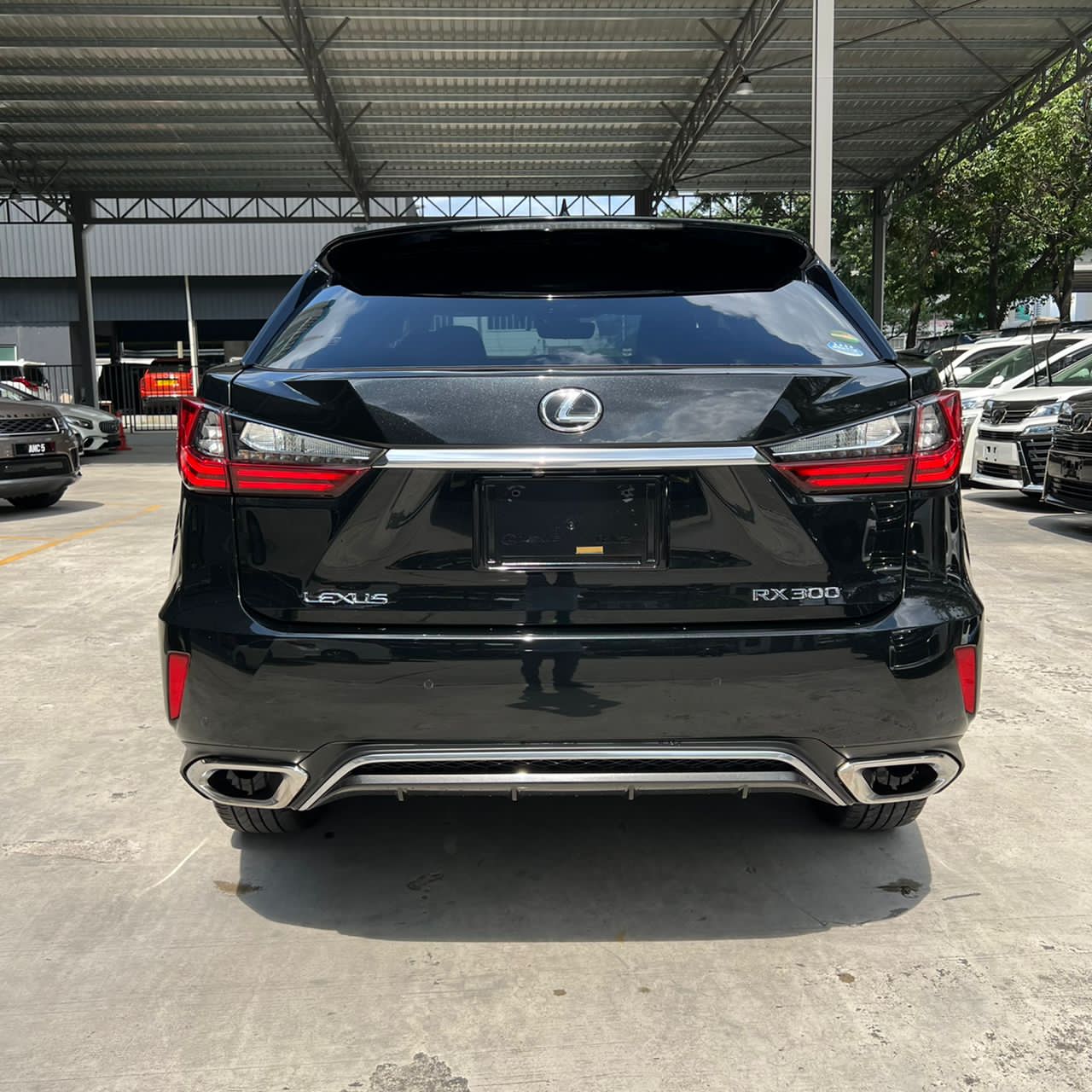2018 LEXUS RX300T F-SPORT